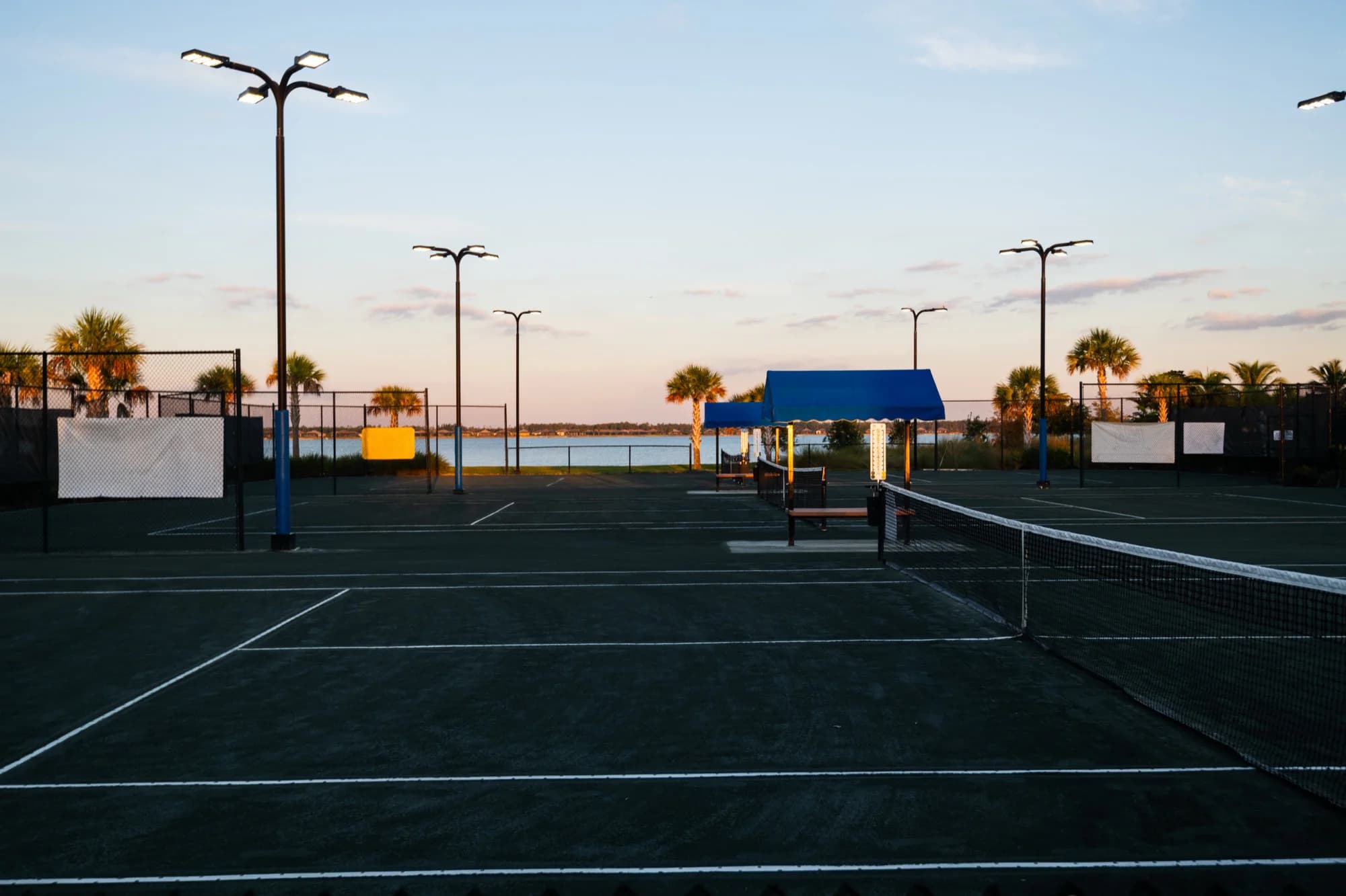 Temple Terrace Tennis